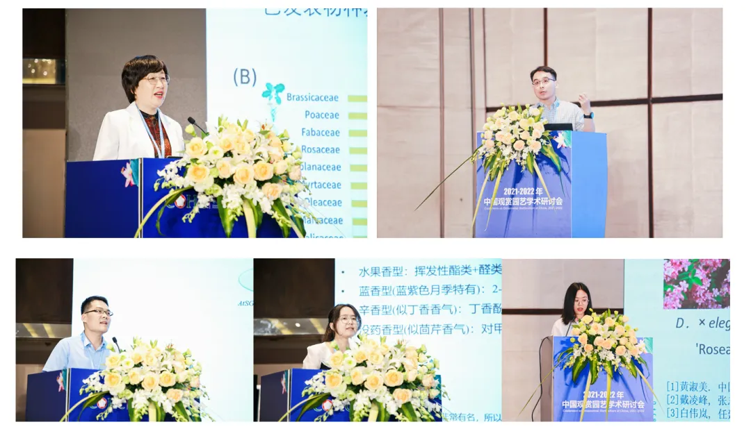 图片13.png
