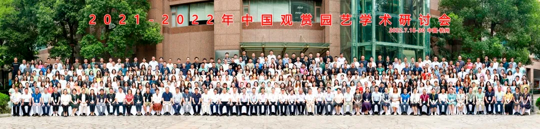 图片31.png